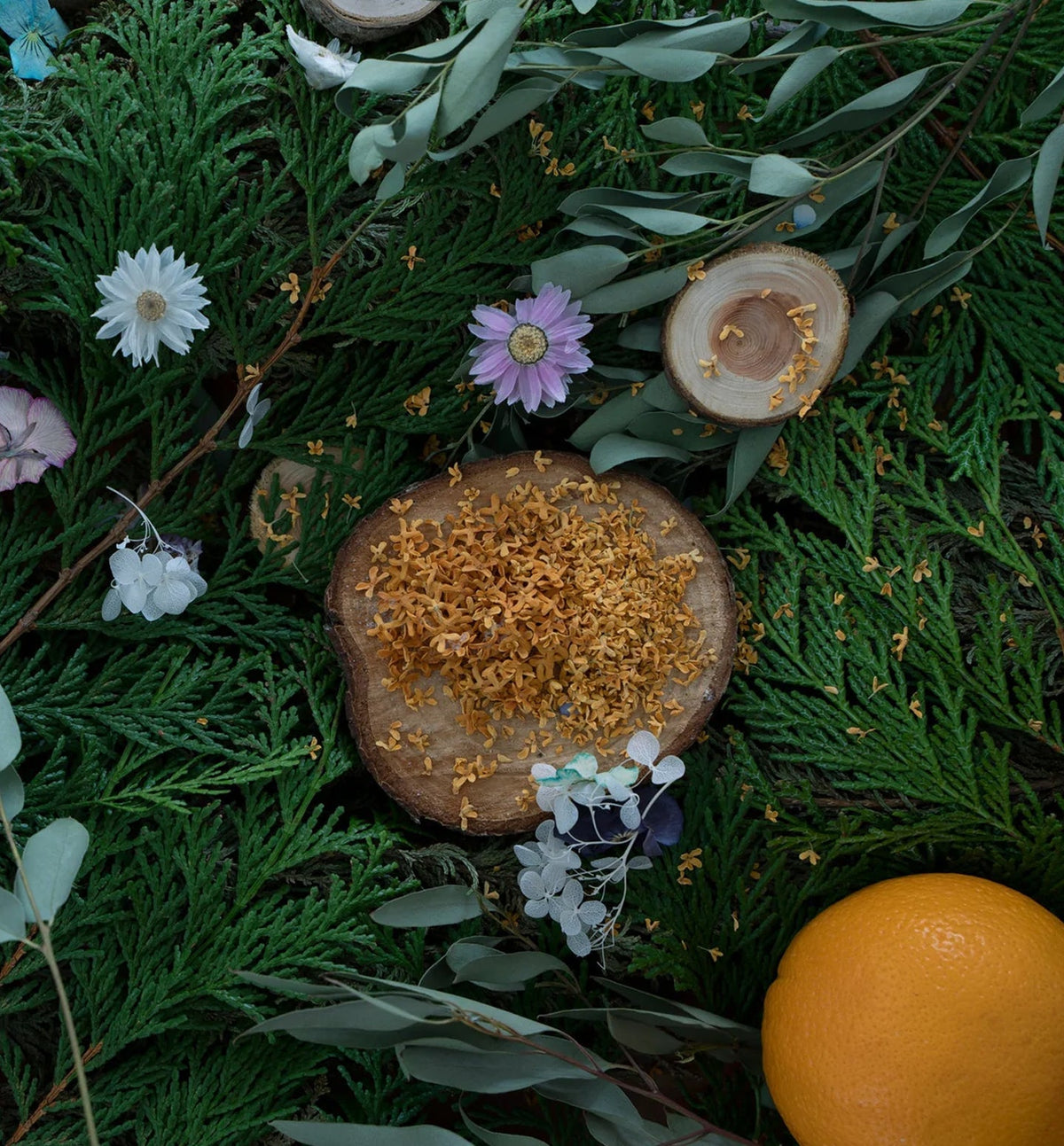 【ハンドミルク】Cotton Fields (Mini) / ギフトラッピング版