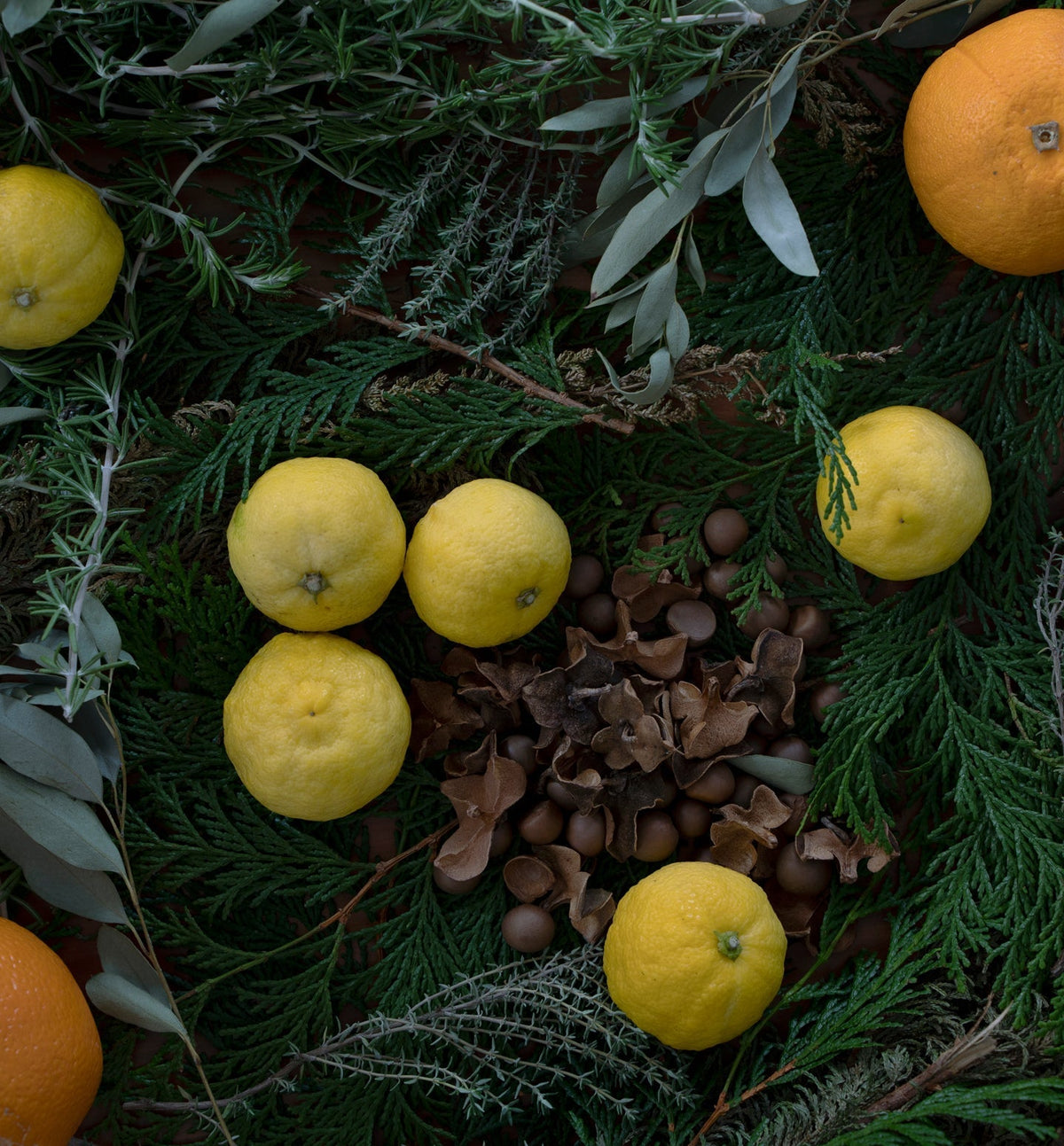 キッチンコンビ(食器用洗剤＆マルチクリーナー)