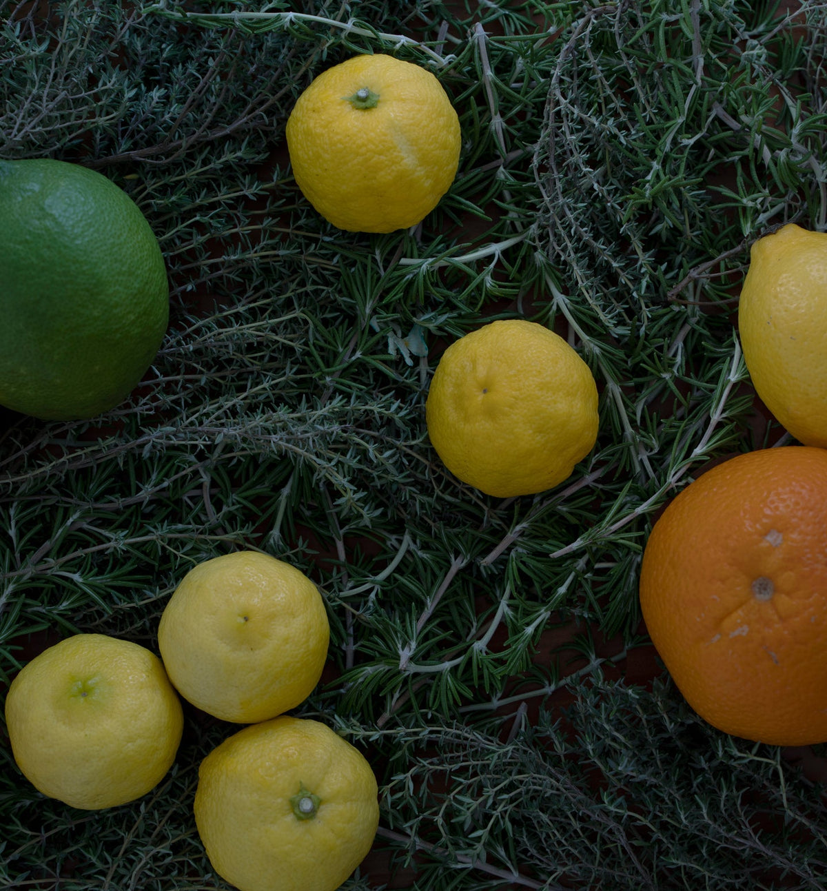 【マルチクリーナー】In a silent way / 詰め替え用