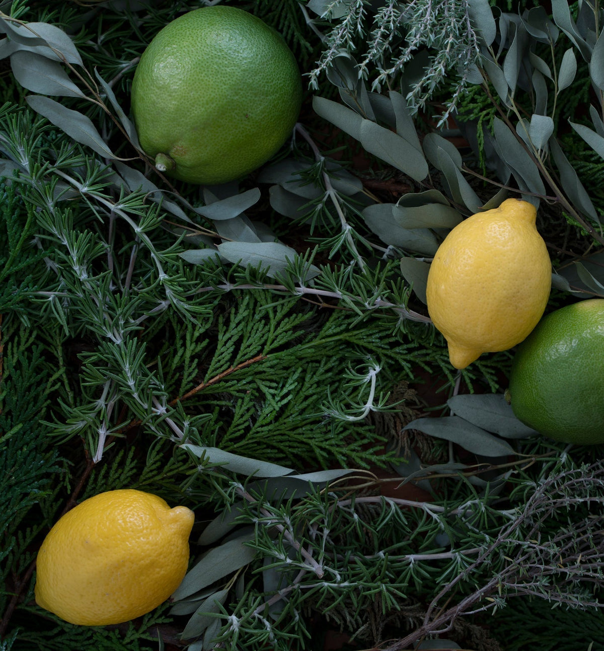 【トイレクリーナー】Shelter from the Storm / 詰め替え用