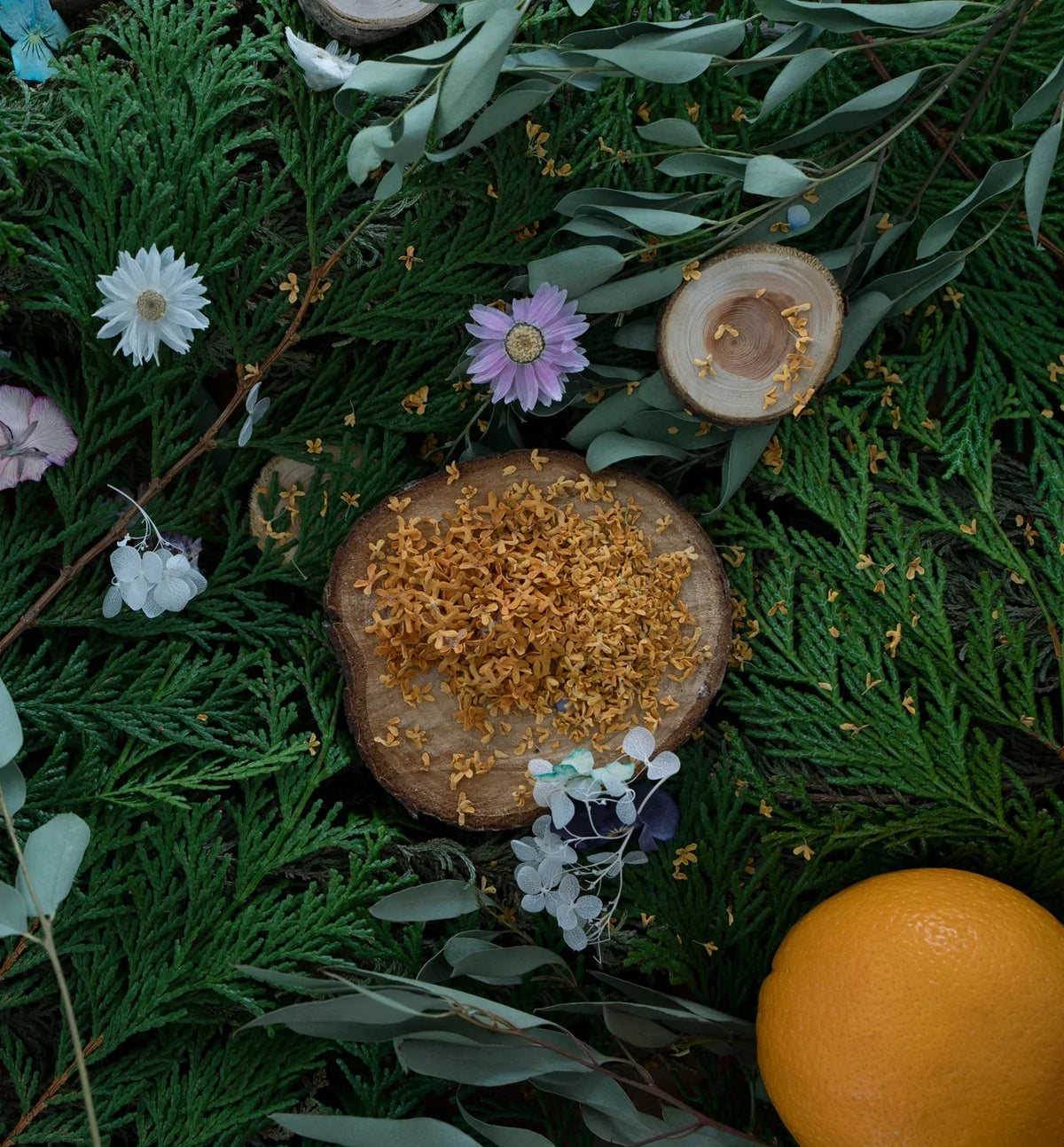 【ハンドミルク】Cotton Fields