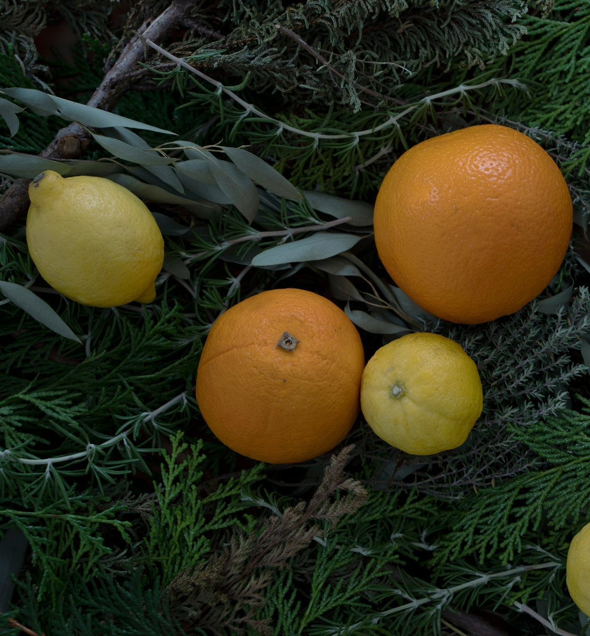 【バスクリーナー】What a Wonderful World