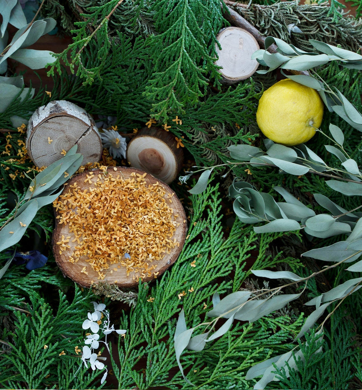 【除菌用ファブリックミスト】Free as a Bird