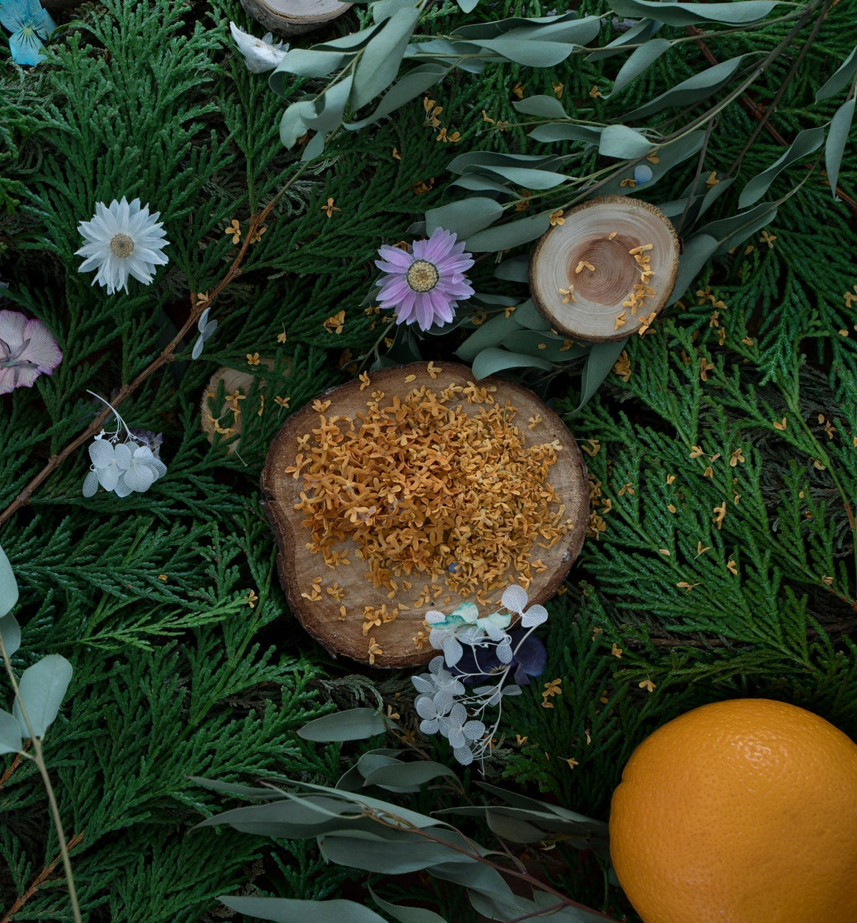 【ハンドソープ】I can hear music / 詰め替え用